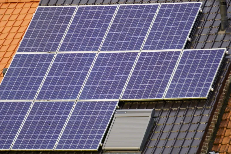 Plug In or Power Up? Why the Off-Grid vs. Grid-Tied Debate Is Splitting Tiny Home Culture Right Down the Middle