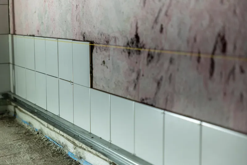 The Hidden Enemy Inside Your Walls: How Moisture Is Quietly Destroying Tiny Homes